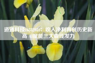 道通科技(688208)：收入净利再创历史新高 AI赋能三大曲线发力