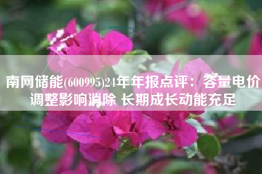 南网储能(600995)24年年报点评：容量电价调整影响消除 长期成长动能充足