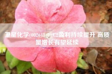 卫星化学(002648)：C2盈利持续提升 高质量增长有望延续