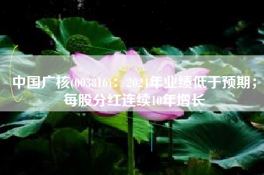 中国广核(003816)：2024年业绩低于预期；每股分红连续10年增长