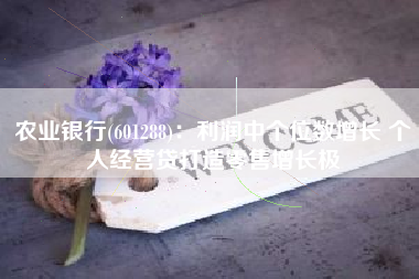 农业银行(601288)：利润中个位数增长 个人经营贷打造零售增长极