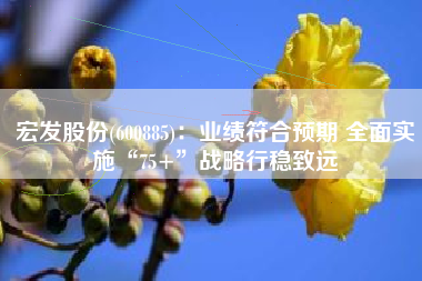 宏发股份(600885)：业绩符合预期 全面实施“75+”战略行稳致远