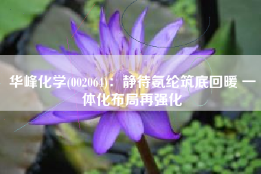 华峰化学(002064)：静待氨纶筑底回暖 一体化布局再强化