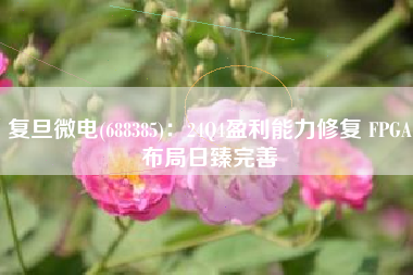 复旦微电(688385)：24Q4盈利能力修复 FPGA布局日臻完善