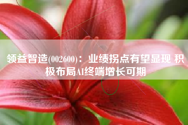 领益智造(002600)：业绩拐点有望显现 积极布局AI终端增长可期
