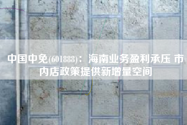 中国中免(601888)：海南业务盈利承压 市内店政策提供新增量空间