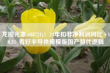 龙图光罩(688721)：24年扣非净利润同比+10.5% 看好半导体掩模版国产替代逻辑