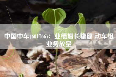中国中车(601766)：业绩增长稳健 动车组业务放量