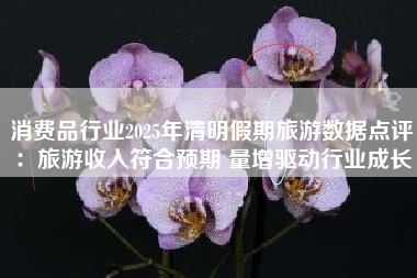 消费品行业2025年清明假期旅游数据点评：旅游收入符合预期 量增驱动行业成长