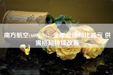 南方航空(600029)：全年业绩同比减亏 供需格局持续改善