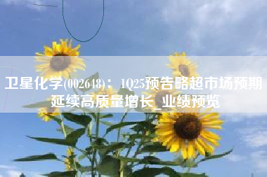 卫星化学(002648)：1Q25预告略超市场预期 延续高质量增长_业绩预览