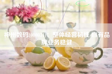 神州数码(000034)：整体经营韧性 自有品牌业务稳健