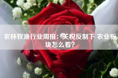 农林牧渔行业周报：关税反制下 农业板块怎么看？