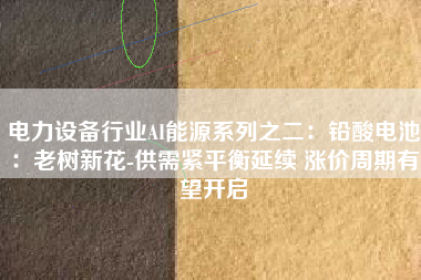 电力设备行业AI能源系列之二：铅酸电池：老树新花-供需紧平衡延续 涨价周期有望开启