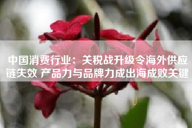中国消费行业：关税战升级令海外供应链失效 产品力与品牌力成出海成败关键