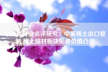小金属行业点评研究：中重稀土出口管制 稀土磁材板块配置价值凸显
