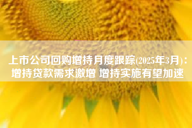 上市公司回购增持月度跟踪(2025年3月)：增持贷款需求激增 增持实施有望加速