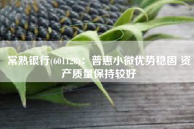 常熟银行(601128)：普惠小微优势稳固 资产质量保持较好