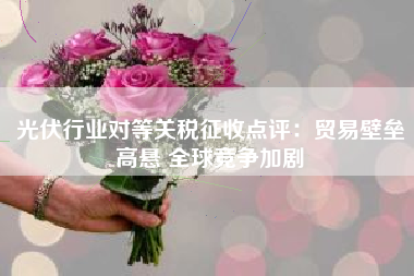 光伏行业对等关税征收点评：贸易壁垒高悬 全球竞争加剧