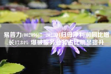 易普力(002096)：2024Q4归母净利润同比增长17.84% 爆破服务业务占比明显提升