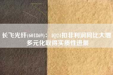 长飞光纤(601869)：4Q24扣非利润同比大增 多元化取得实质性进展