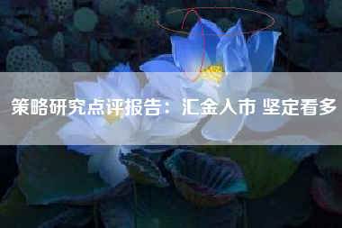 策略研究点评报告：汇金入市 坚定看多