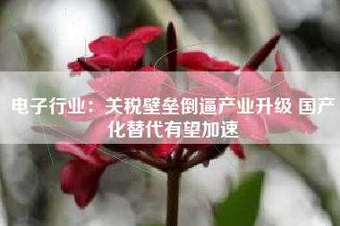 电子行业：关税壁垒倒逼产业升级 国产化替代有望加速