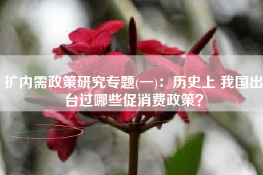 扩内需政策研究专题(一)：历史上 我国出台过哪些促消费政策？