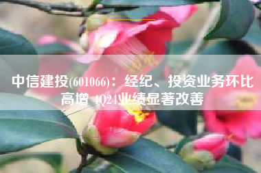 中信建投(601066)：经纪、投资业务环比高增 4Q24业绩显著改善