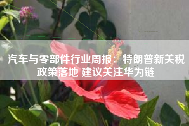 汽车与零部件行业周报：特朗普新关税政策落地 建议关注华为链