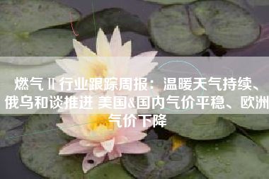 燃气Ⅱ行业跟踪周报：温暖天气持续、俄乌和谈推进 美国&国内气价平稳、欧洲气价下降
