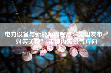 电力设备与新能源周观点：美国发布“对等关税” 重视内需景气方向