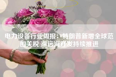 电力设备行业周报：特朗普新增全球范围关税 深远海开发持续推进