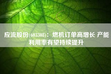 应流股份(603308)：燃机订单高增长 产能利用率有望持续提升