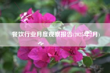 餐饮行业月度观察报告(2025年2月)