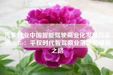 汽车行业中国智能驾驶商业化发展白皮书(2025)：平权时代智驾商业落地的破局之路