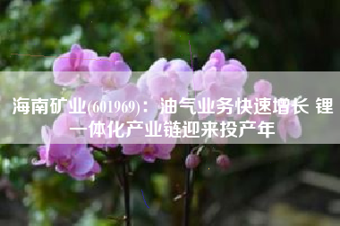 海南矿业(601969)：油气业务快速增长 锂一体化产业链迎来投产年