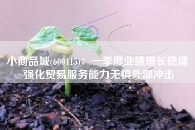 小商品城(600415)：一季度业绩增长稳健 强化贸易服务能力无惧外部冲击
