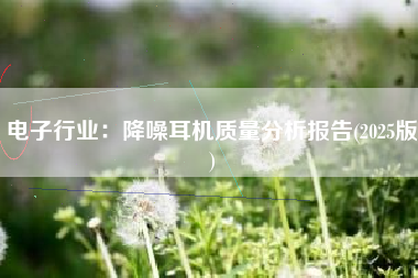 电子行业：降噪耳机质量分析报告(2025版)