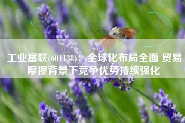 工业富联(601138)：全球化布局全面 贸易摩擦背景下竞争优势持续强化
