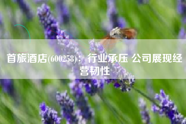 首旅酒店(600258)：行业承压 公司展现经营韧性