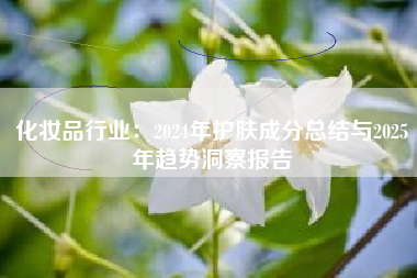 化妆品行业：2024年护肤成分总结与2025年趋势洞察报告
