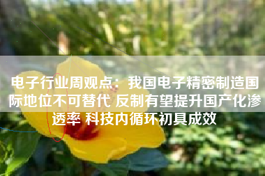电子行业周观点：我国电子精密制造国际地位不可替代 反制有望提升国产化渗透率 科技内循环初具成效