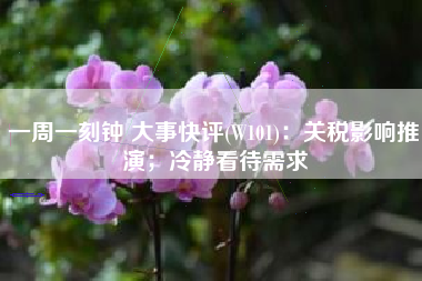 一周一刻钟 大事快评(W101)：关税影响推演；冷静看待需求