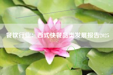 餐饮行业：西式快餐品类发展报告2025