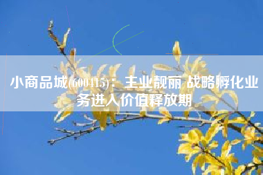 小商品城(600415)：主业靓丽 战略孵化业务进入价值释放期
