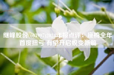 继峰股份(603997)2024年报点评：座椅全年首度扭亏 有望开启蜕变新篇