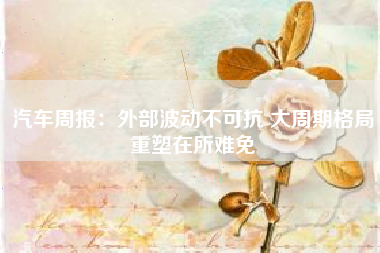 汽车周报：外部波动不可抗 大周期格局重塑在所难免