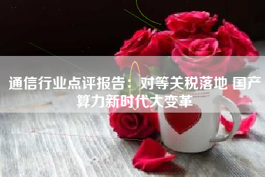 通信行业点评报告：对等关税落地 国产算力新时代大变革