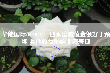 华能国际(600011)：四季度减值金额好于预期 其他收益影响业绩表现